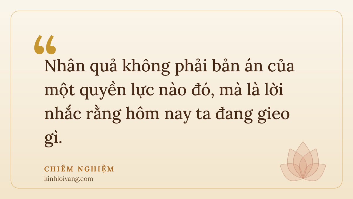 câu chuyện nhân quả ý nghĩa - Chiêm nghiệm: Nhân quả không phải bản án của một quyền lực nào đó, mà là lời nhắc rằng hôm nay ta đang g