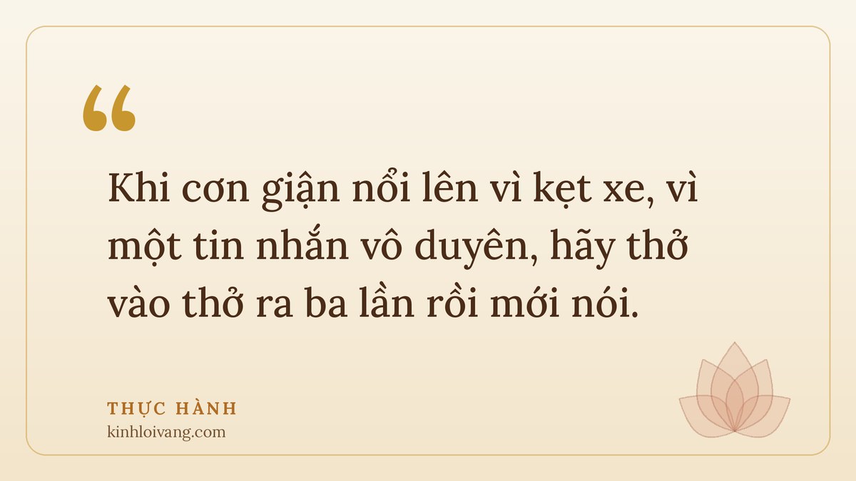 câu chuyện thiền sư - Thực hành: Khi cơn giận nổi lên vì kẹt xe, vì một tin nhắn vô duyên, hãy thở vào thở ra ba lần rồi mớ