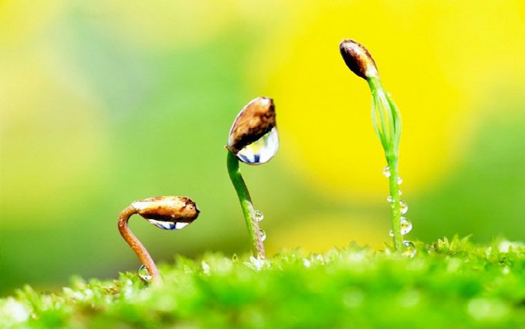 33 Triết Lý Cuộc Sống 33 Triết Lý Cuộc Sống