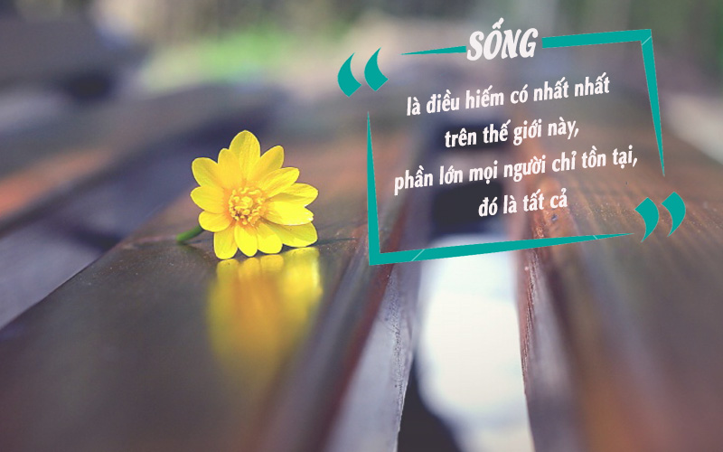 Những lời nói hay trong cuộc sống Những lời nói hay trong cuộc sống