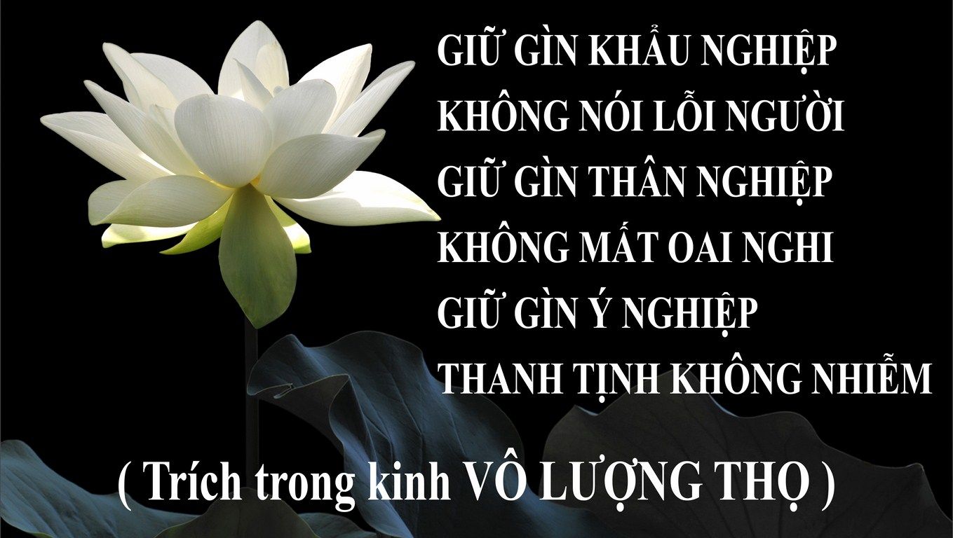 Miệng Từ Bi, Lưỡi Phương Tiện – Có Tiền, Không Tiền Đều Tạo Đức Được