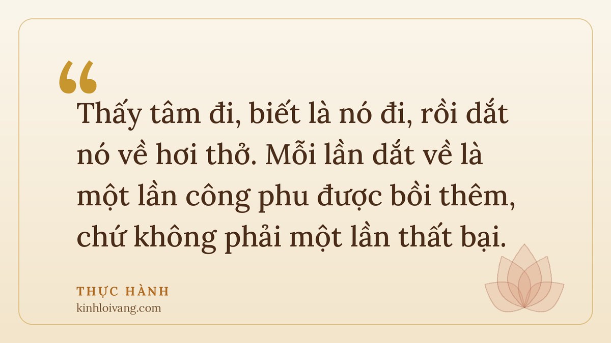 thiền hơi thở - Thực hành: Thấy tâm đi, biết là nó đi, rồi dắt nó về hơi thở. Mỗi lần dắt về là một lần công phu được