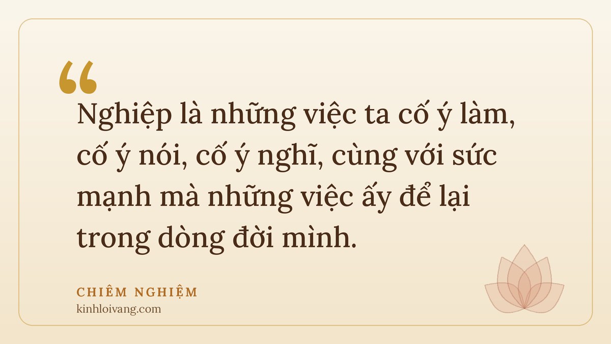 nghiệp là gì - Chiêm nghiệm: Nghiệp là những việc ta cố ý làm, cố ý nói, cố ý nghĩ, cùng với sức mạnh mà những việc ấy