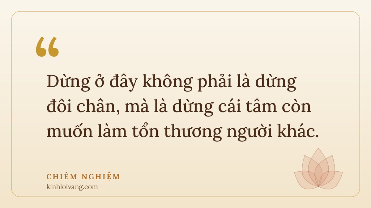 chuyển hoá nghiệp xấu - Chiêm nghiệm: Dừng ở đây không phải là dừng đôi chân, mà là dừng cái tâm còn muốn làm tổn thương người k