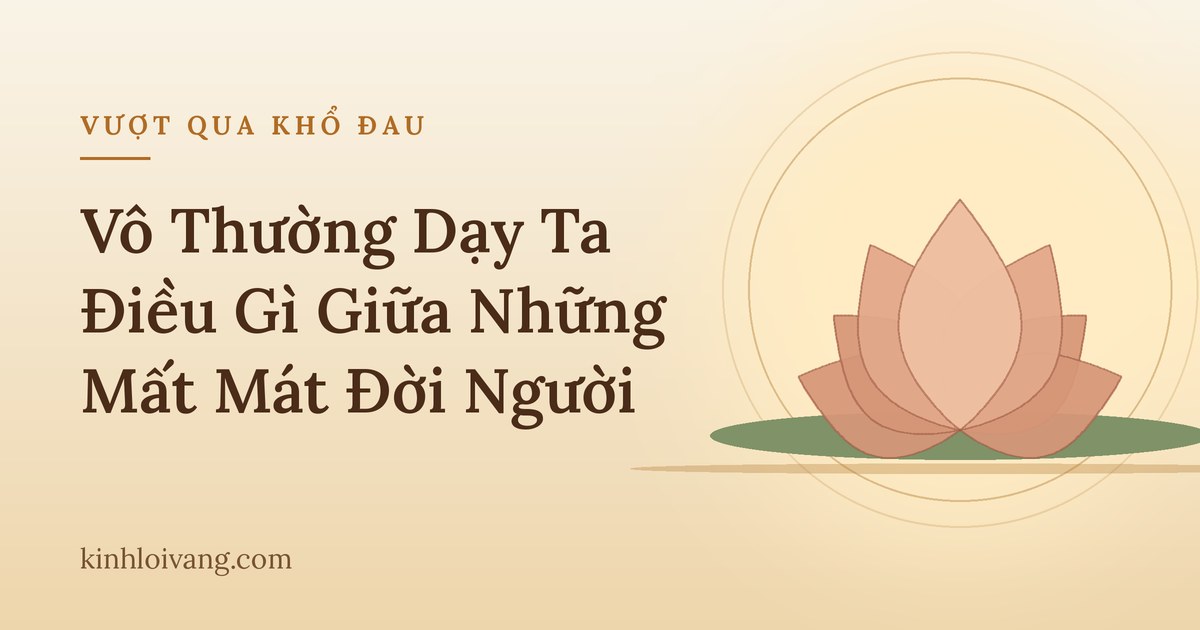 Vô Thường Dạy Ta Điều Gì Giữa Những Mất Mát Đời Người