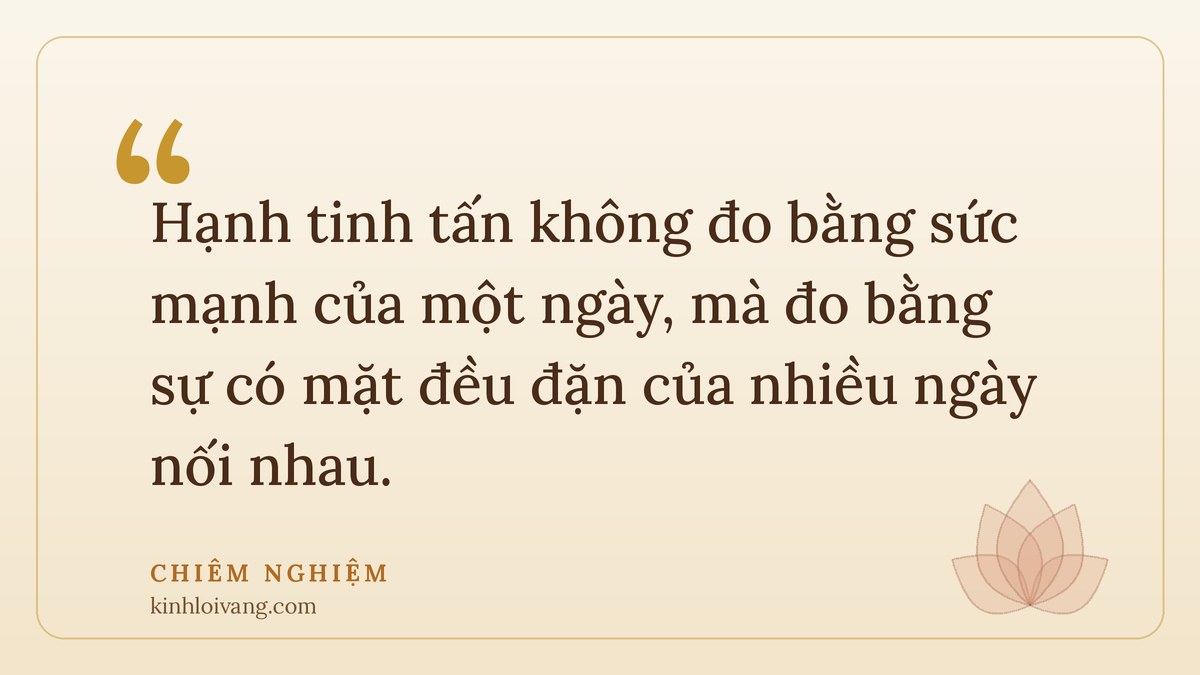 lục độ ba la mật - Chiêm nghiệm: Hạnh tinh tấn không đo bằng sức mạnh của một ngày, mà đo bằng sự có mặt đều đặn của nhiều