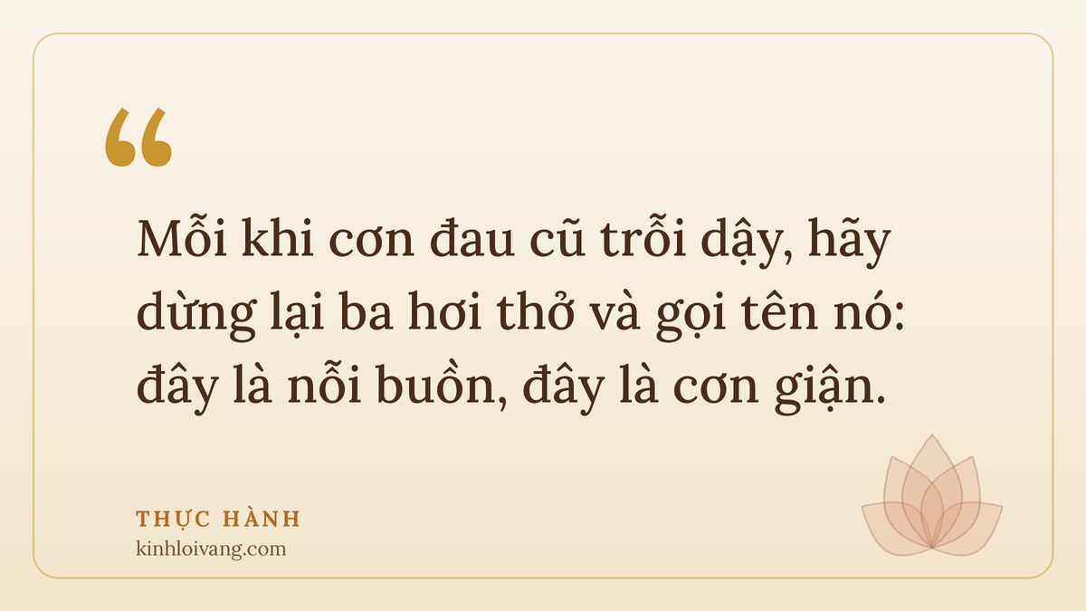 chữa lành tổn thương - Thực hành: Mỗi khi cơn đau cũ trỗi dậy, hãy dừng lại ba hơi thở và gọi tên nó: đây là nỗi buồn, đây l