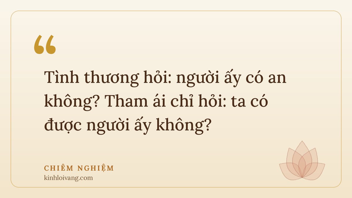 câu chuyện phật giáo về tình yêu - Chiêm nghiệm: Tình thương hỏi: người ấy có an không? Tham ái chỉ hỏi: ta có được người ấy không?