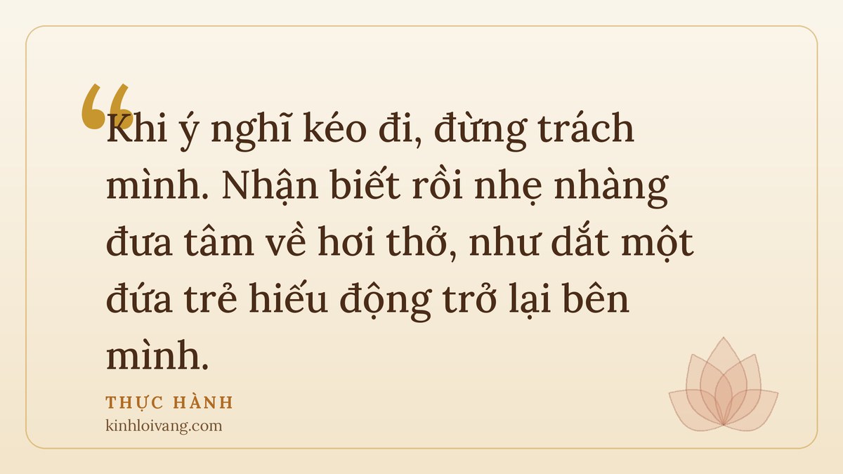 tác dụng của thiền định - Thực hành: Khi ý nghĩ kéo đi, đừng trách mình. Nhận biết rồi nhẹ nhàng đưa tâm về hơi thở, như dắt mộ