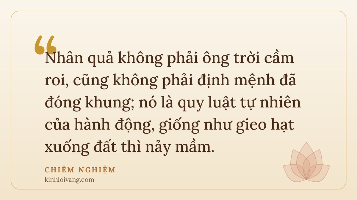 nhân quả có thật không - Chiêm nghiệm: Nhân quả không phải ông trời cầm roi, cũng không phải định mệnh đã đóng khung; nó là quy l
