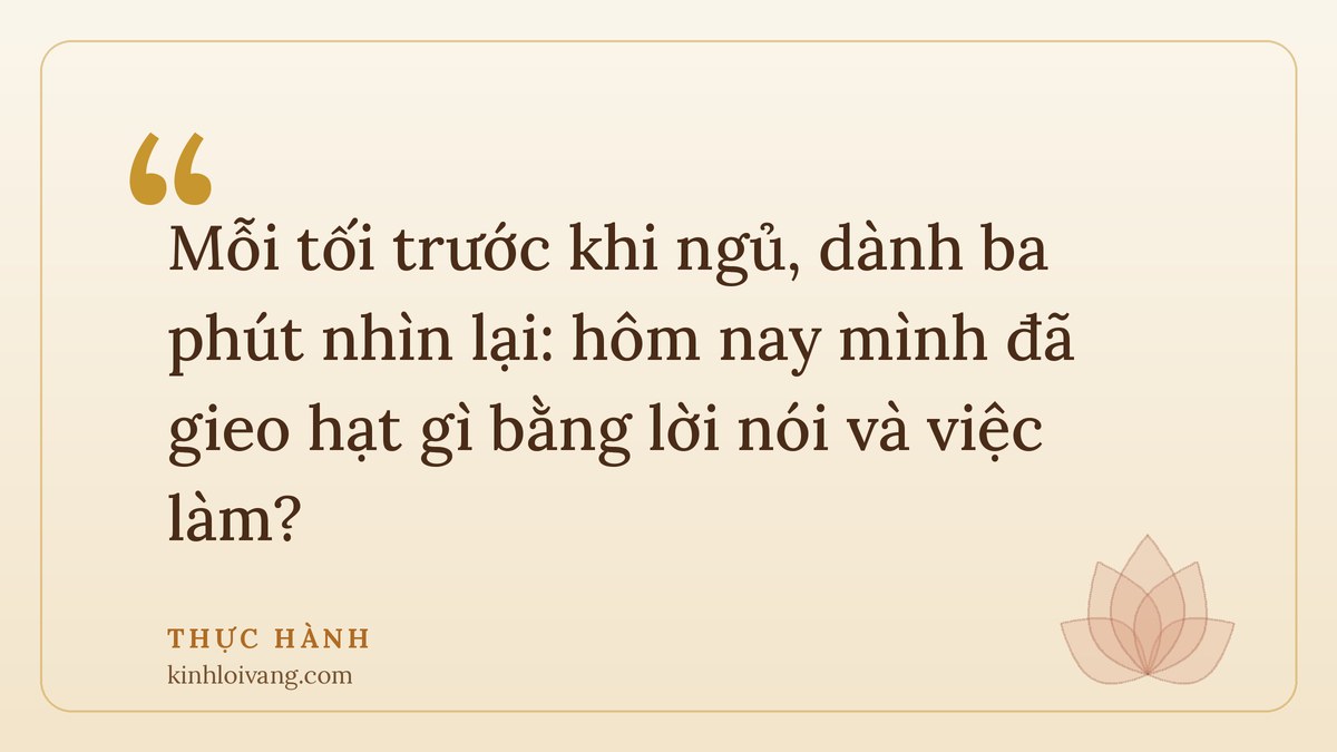 nhân quả có thật không - Thực hành: Mỗi tối trước khi ngủ, dành ba phút nhìn lại: hôm nay mình đã gieo hạt gì bằng lời nói và