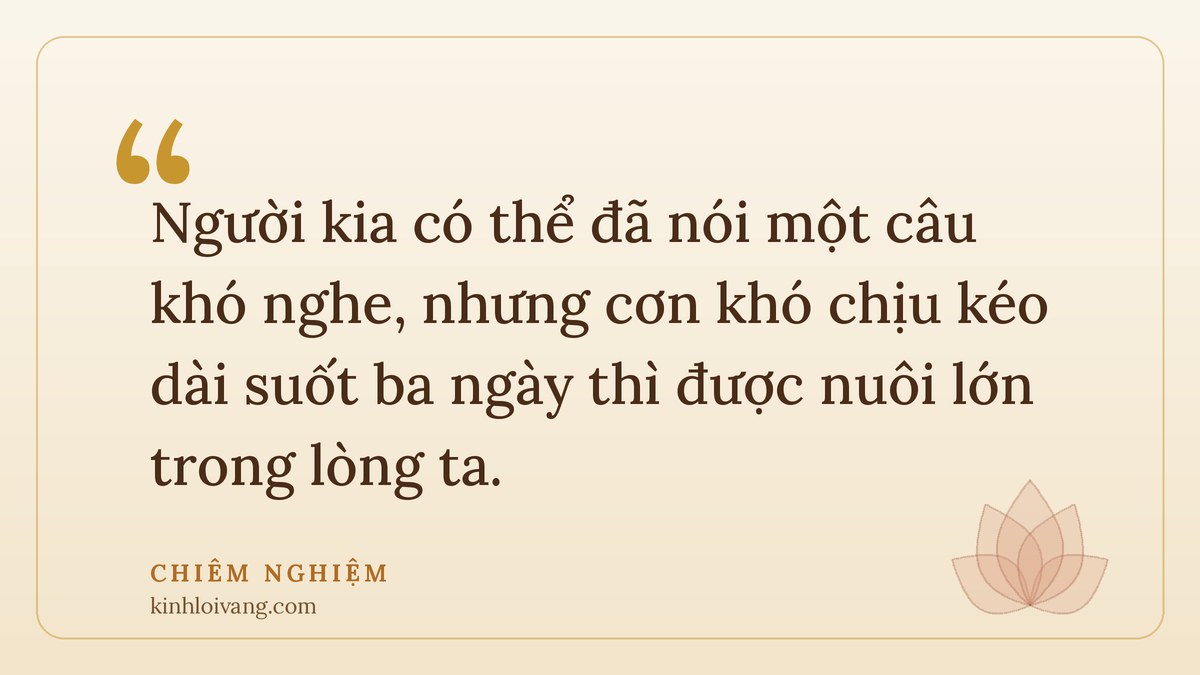 phiền não là gì - Chiêm nghiệm: Người kia có thể đã nói một câu khó nghe, nhưng cơn khó chịu kéo dài suốt ba ngày thì được