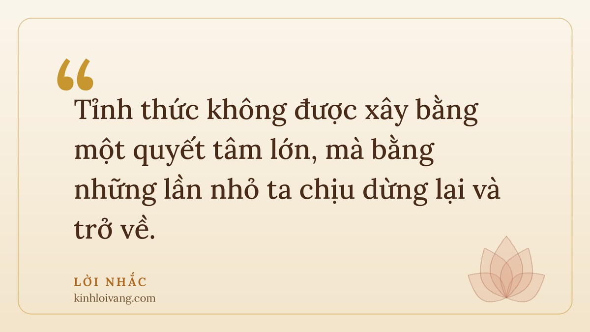 sống tỉnh thức - Lời nhắc: Tỉnh thức không được xây bằng một quyết tâm lớn, mà bằng những lần nhỏ ta chịu dừng lại và