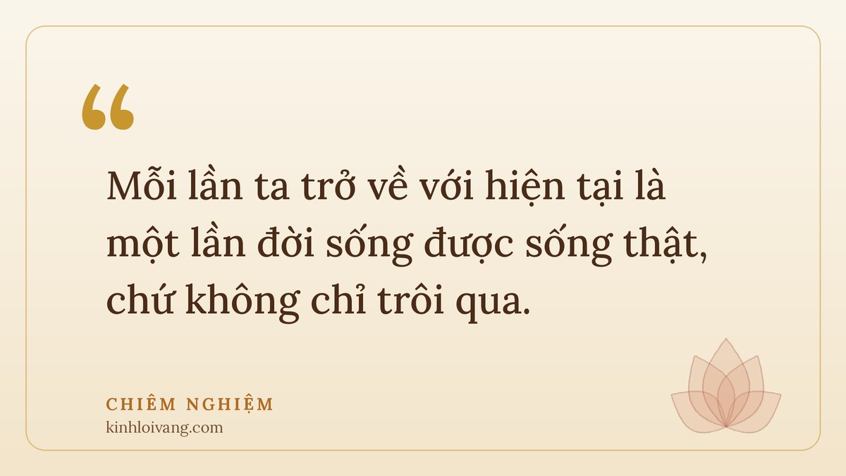 sống tỉnh thức - Chiêm nghiệm: Mỗi lần ta trở về với hiện tại là một lần đời sống được sống thật, chứ không chỉ trôi qua.