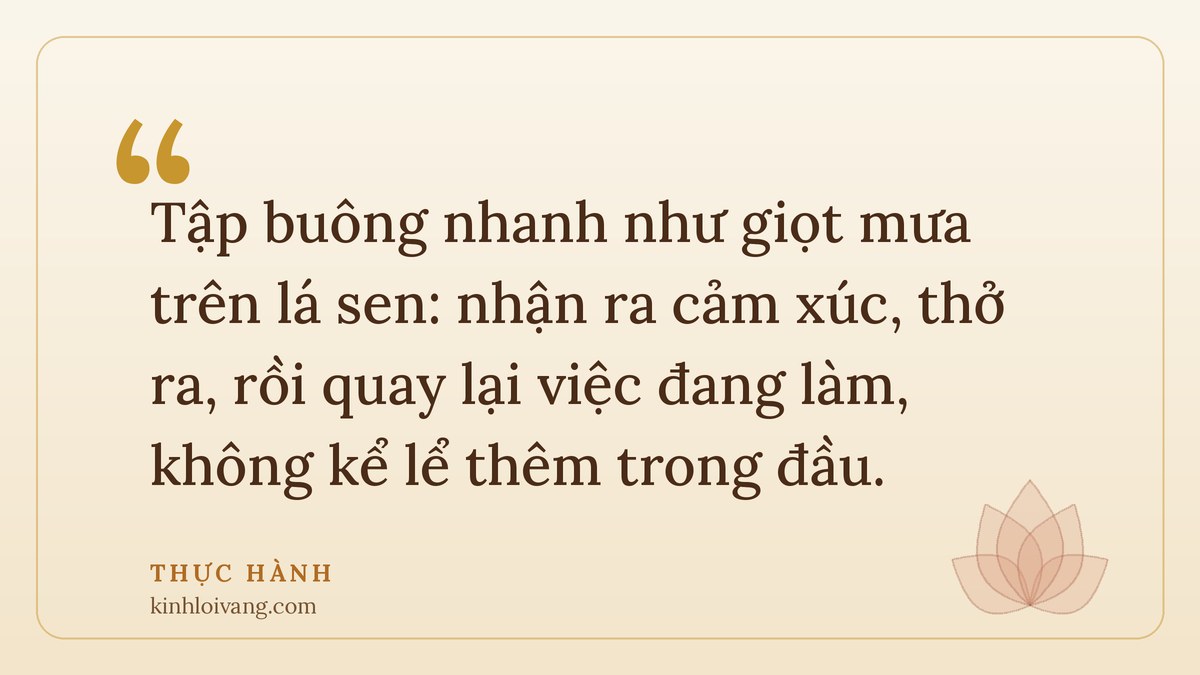 thiền sư dạy đệ tử - Thực hành: Tập buông nhanh như giọt mưa trên lá sen: nhận ra cảm xúc, thở ra, rồi quay lại việc đang